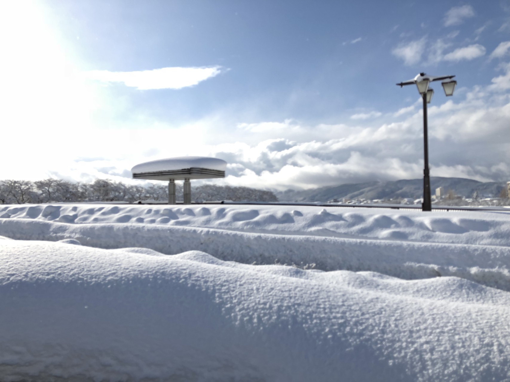 歩いて帰宅 56豪雪以来らしい まじやばいよ ミント1号さんの福井市の活動日記 Yamap ヤマップ