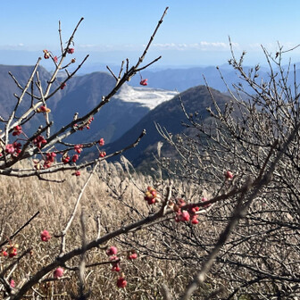 山の名前忘れた
パイセンに教えてもらったのに😅
あ、鳥形山！