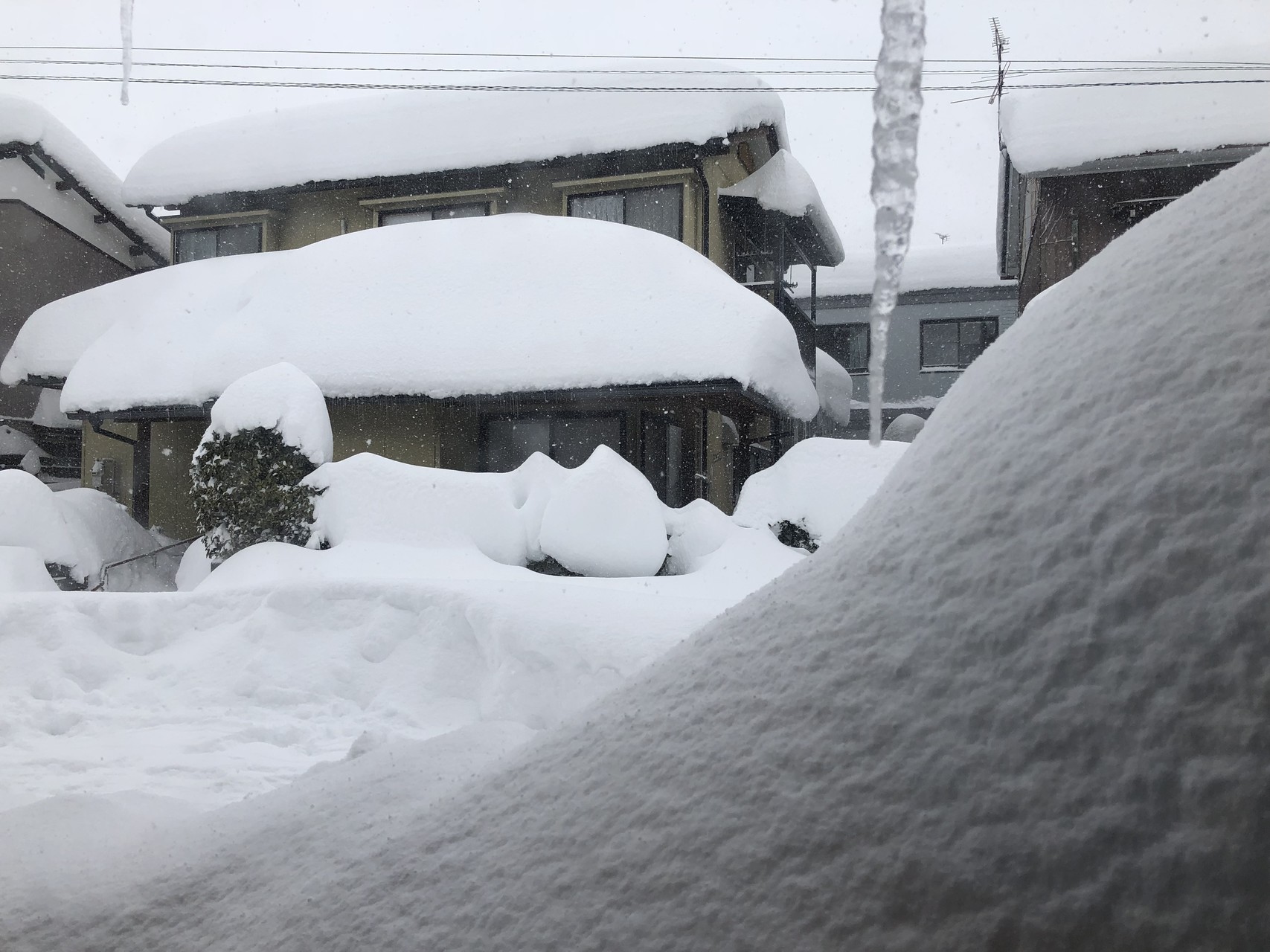 歩いて帰宅 56豪雪以来らしい まじやばいよ ミント1号さんの福井市の活動日記 Yamap ヤマップ