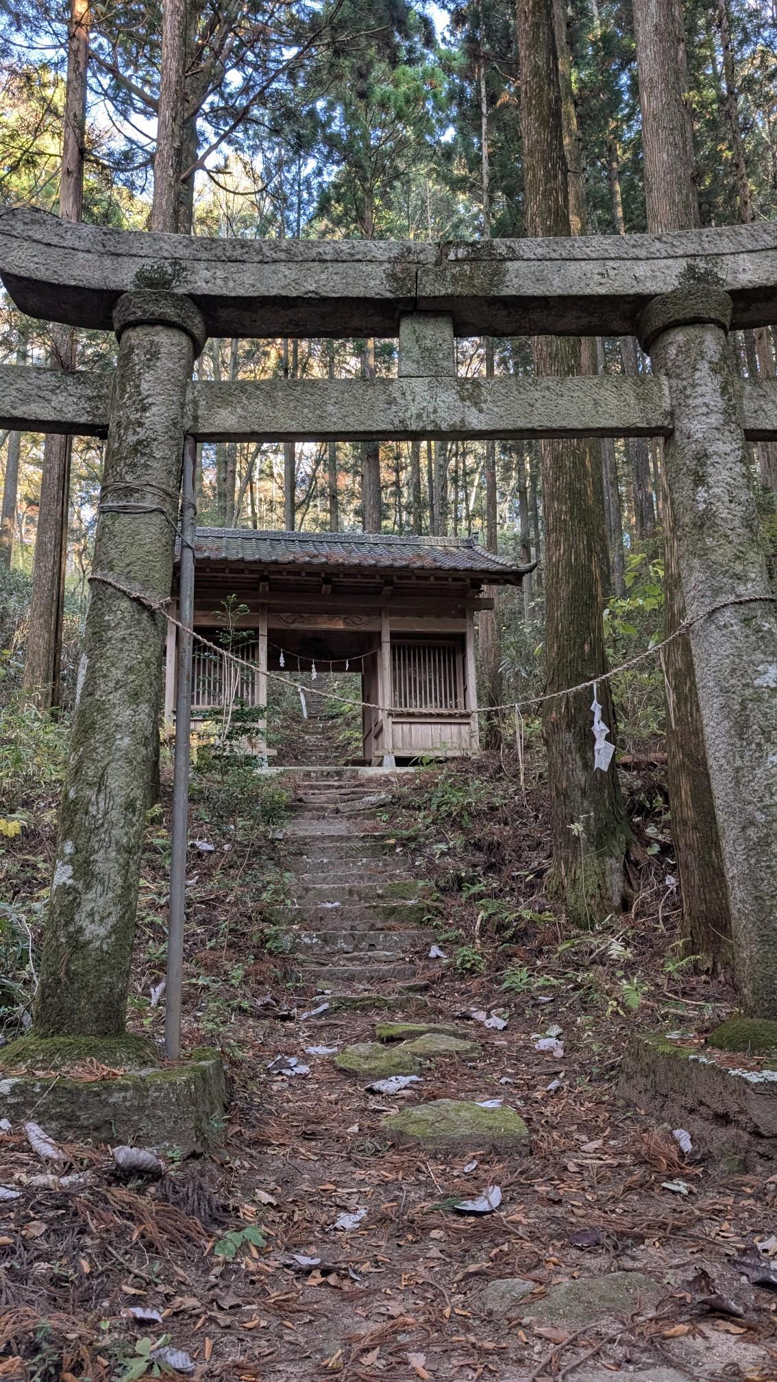 竪破山 / noraさんの土岳・花貫渓谷・竪破山の活動データ YAMAP / ヤマップ