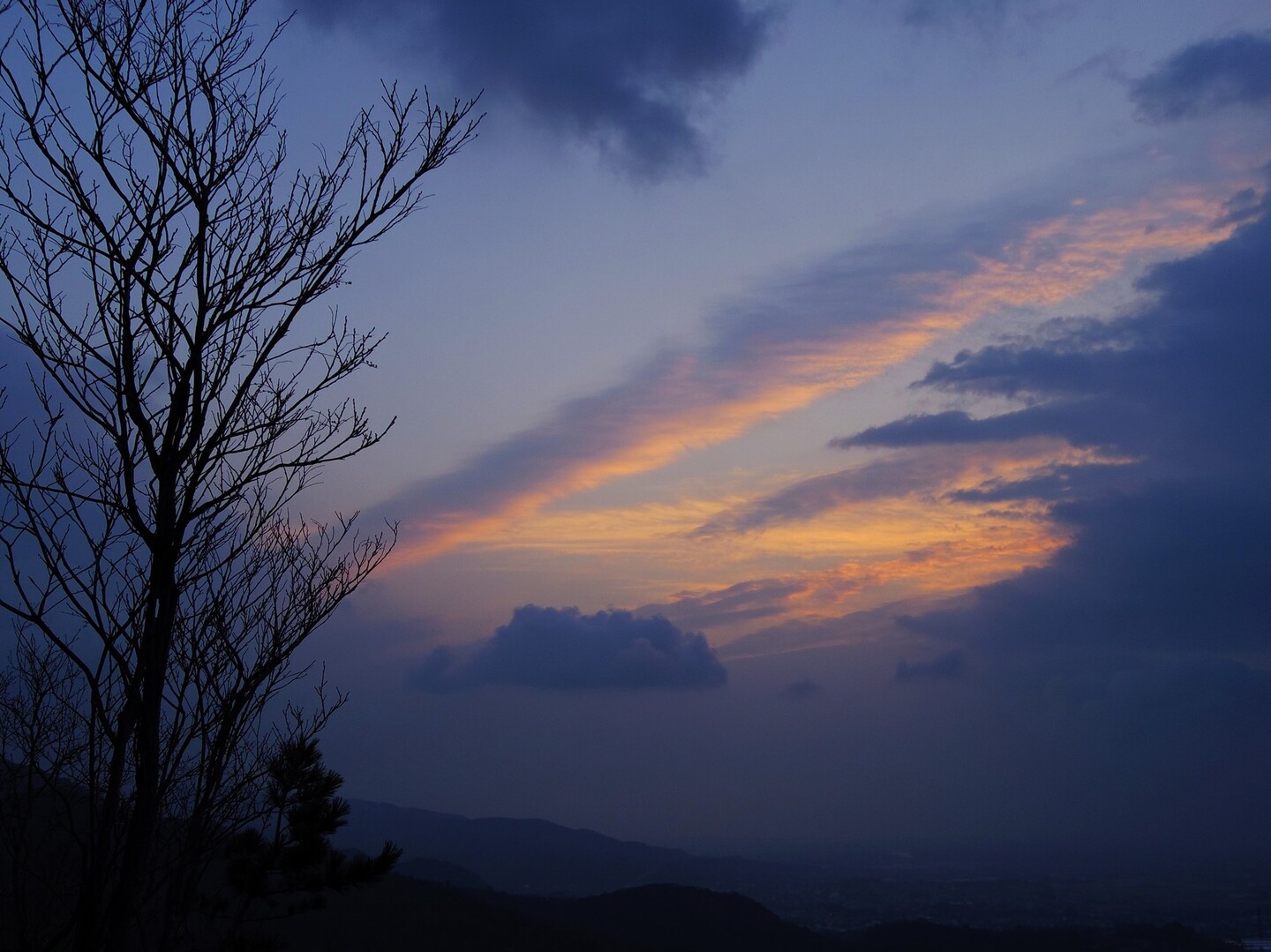 朝の高尾山を散歩 顔文字dさんの四国遍路その1の活動データ Yamap ヤマップ