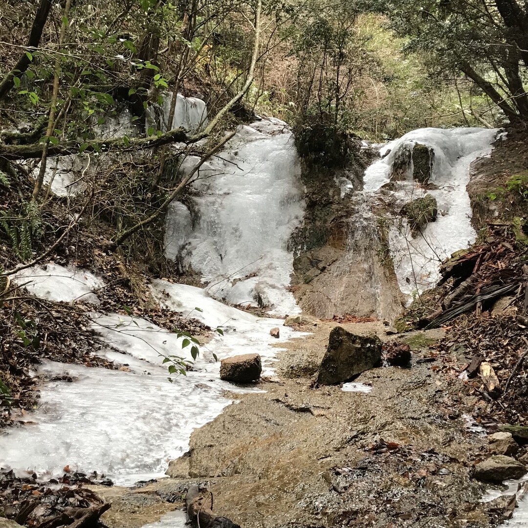 杣谷 氷瀑の名残り げんぶさんの六甲山 長峰山 摩耶山の活動データ Yamap ヤマップ