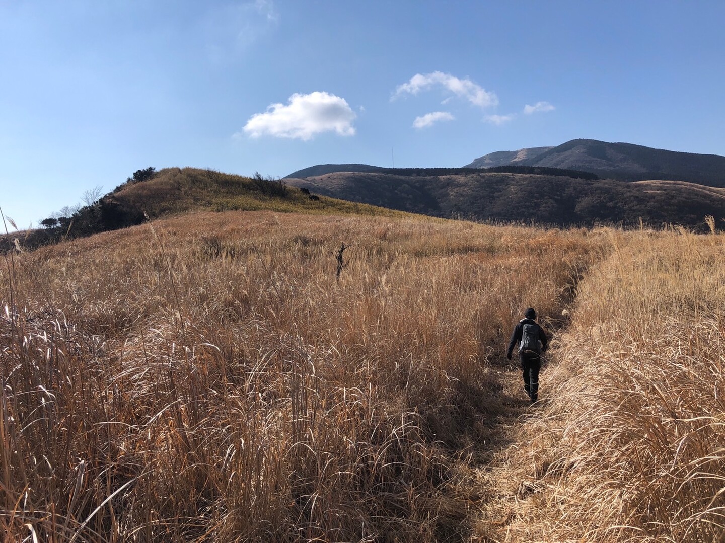 俵山と北向山 / いのしんVWさんの俵山・冠ヶ岳・清栄山の活動データ YAMAP / ヤマップ