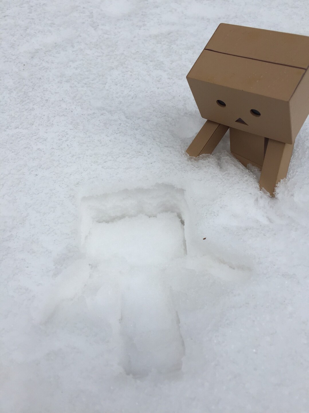 雪の天山 また岸川から登るってよ の巻 ネコポンタさんの天山 佐賀県 の活動日記 Yamap ヤマップ