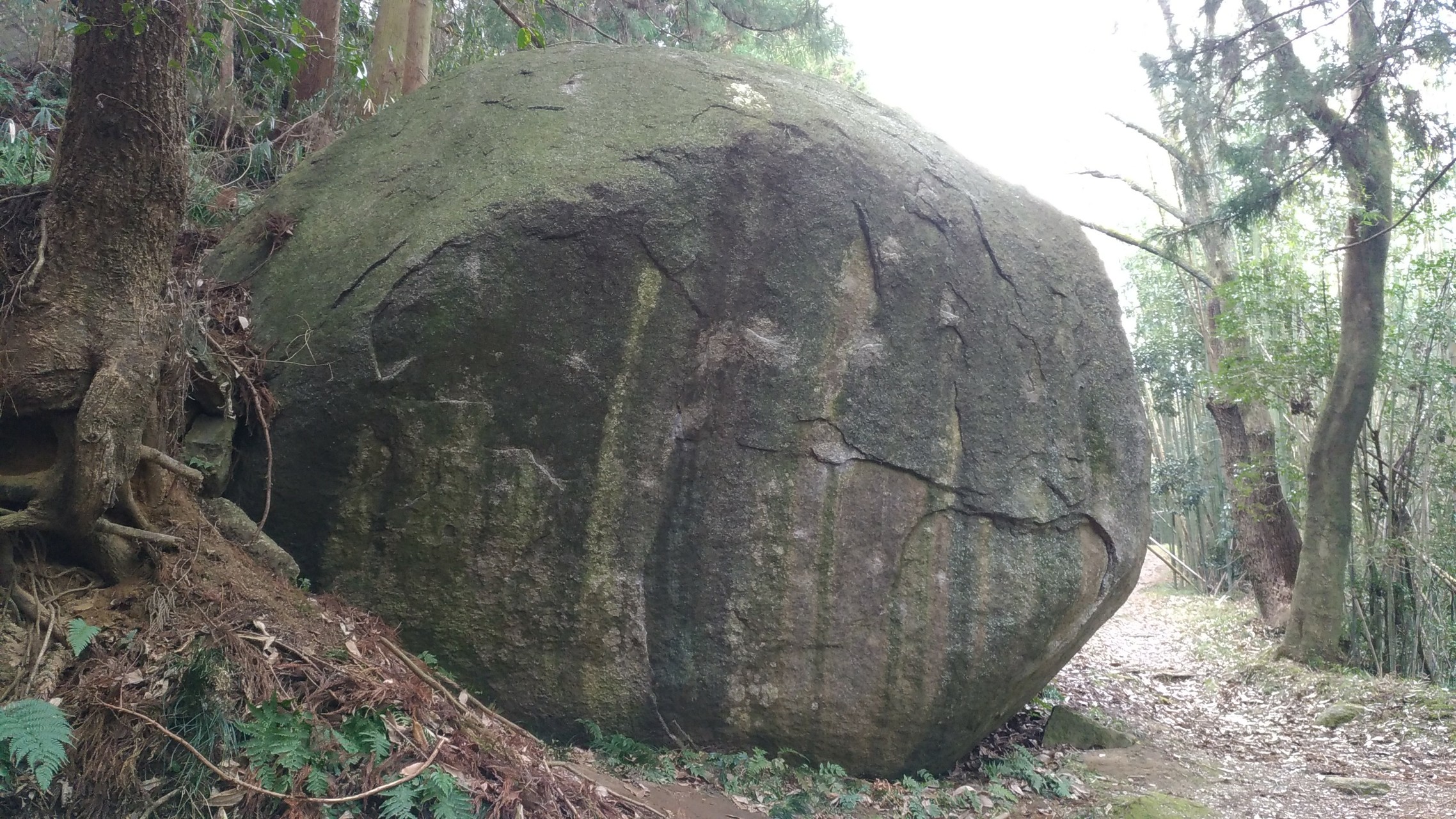 奈良 矢田寺から松尾寺 巨岩ありました かばたんさんの生駒山 神津嶽 大原山の活動データ Yamap ヤマップ