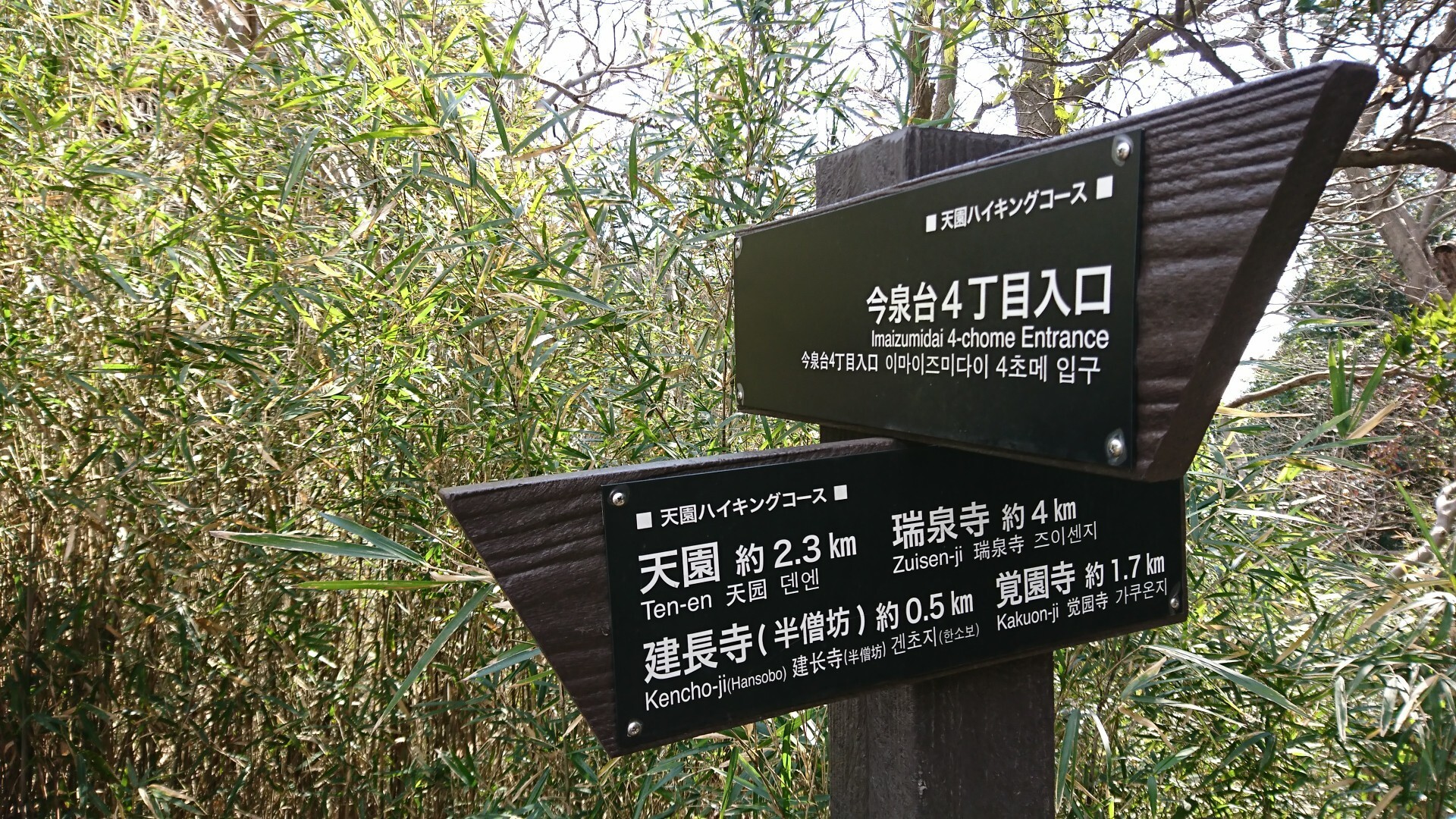 鎌倉アルプス 病み上がりハイキング くろひげさんの鎌倉アルプス 大平山 天台山 の活動日記 Yamap ヤマップ