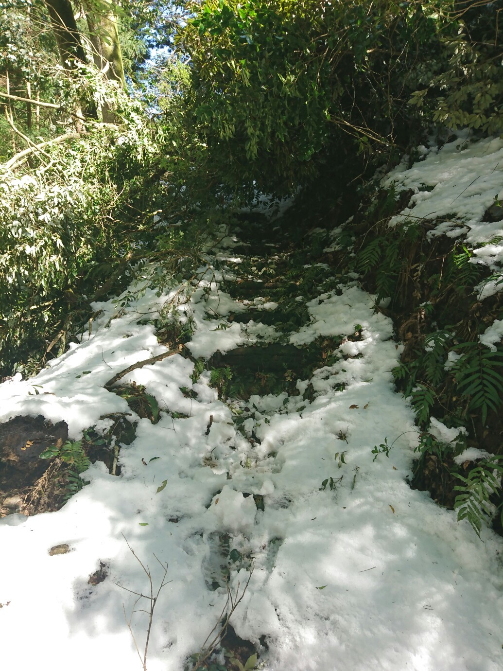 御幸寺山ふたたび とくぢさんの松山市 南エリア の活動データ Yamap ヤマップ