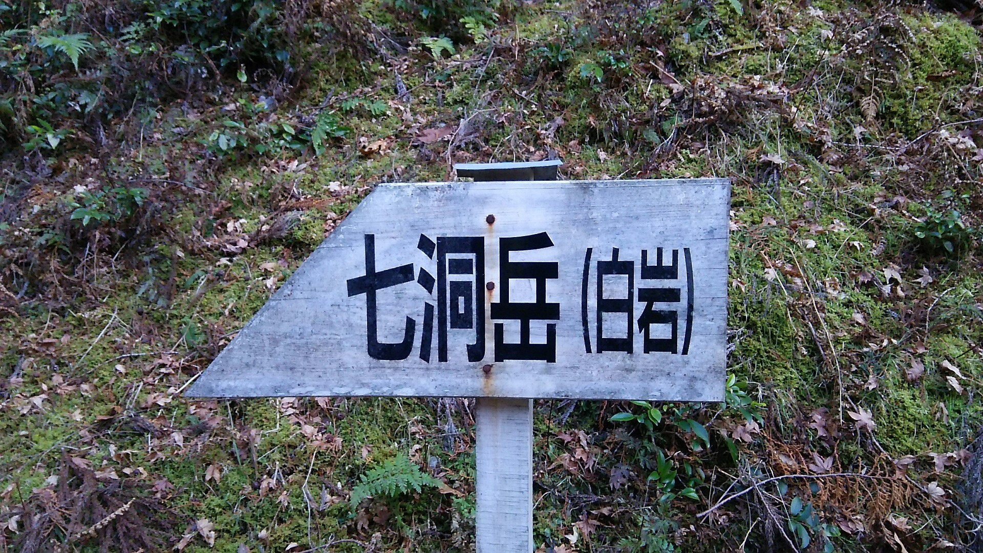 七洞岳 778 1m 大栃 野原 ｺｰｽ と三重県指定史跡 坂本古墳群散策 さとちゃんさんの七洞岳 獅子ヶ岳の活動データ Yamap ヤマップ