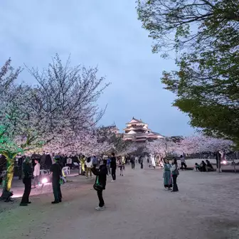 天守閣広場に到着‼️🤗

お見事‼️😆
まだ夜桜には少し時間早いけれど、十分綺麗😁