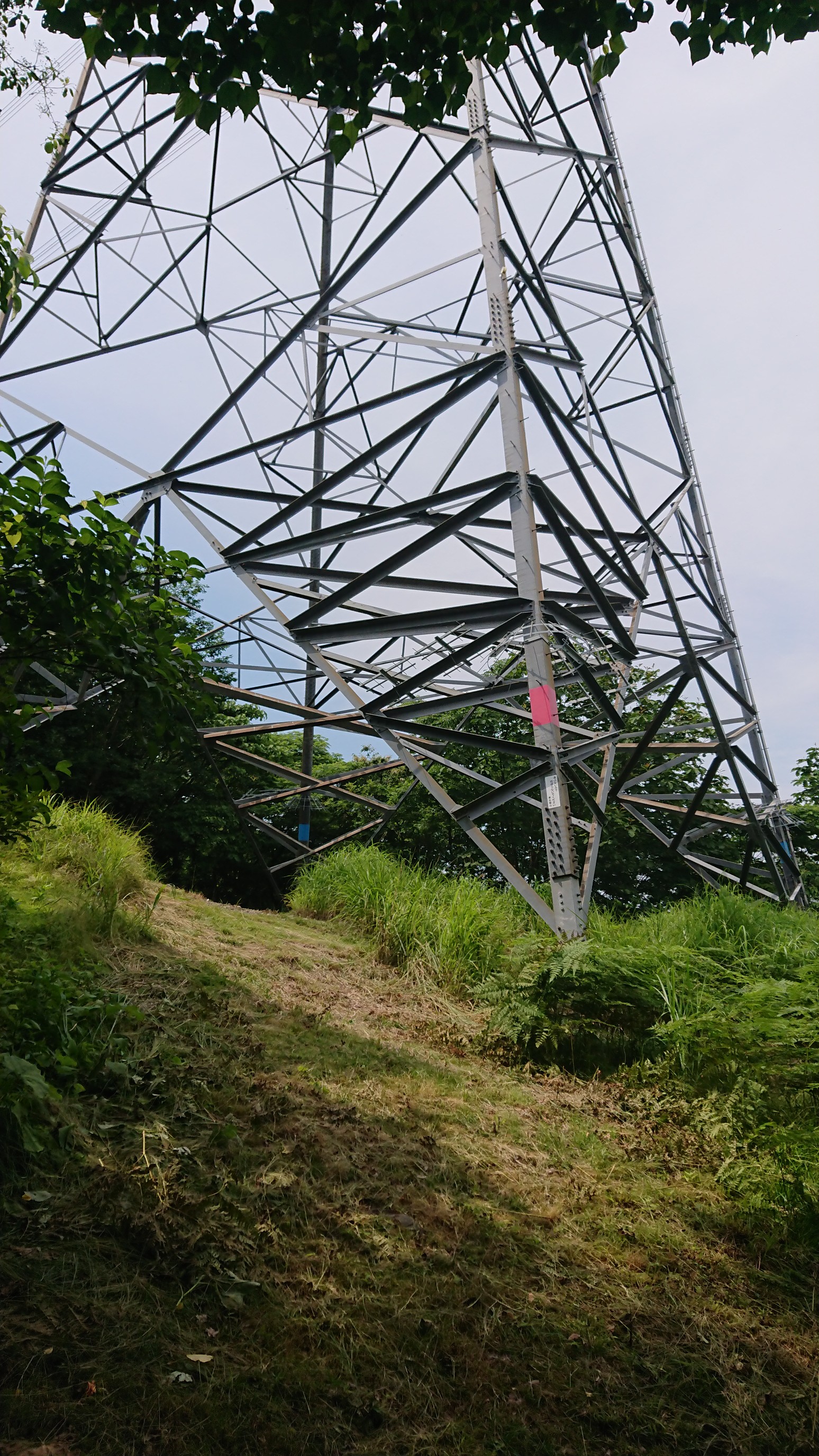 木六山・銀次郎山 中越幹線94鉄塔
向こう側から来て下から撮りました
鉄塔のところから写真では左に分け入ります。
向こう側から来て鉄塔で右に折れて踏みあとに
短い快適な巡視道でした😄