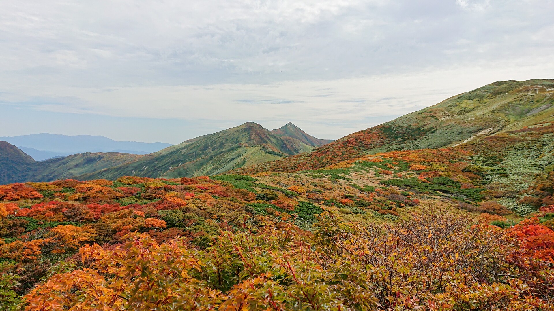 朝日連峰 大朝日岳 日暮沢小屋から周回 A 日帰り Odentosさんの大朝日岳 朝日連峰 祝瓶山の活動データ Yamap ヤマップ