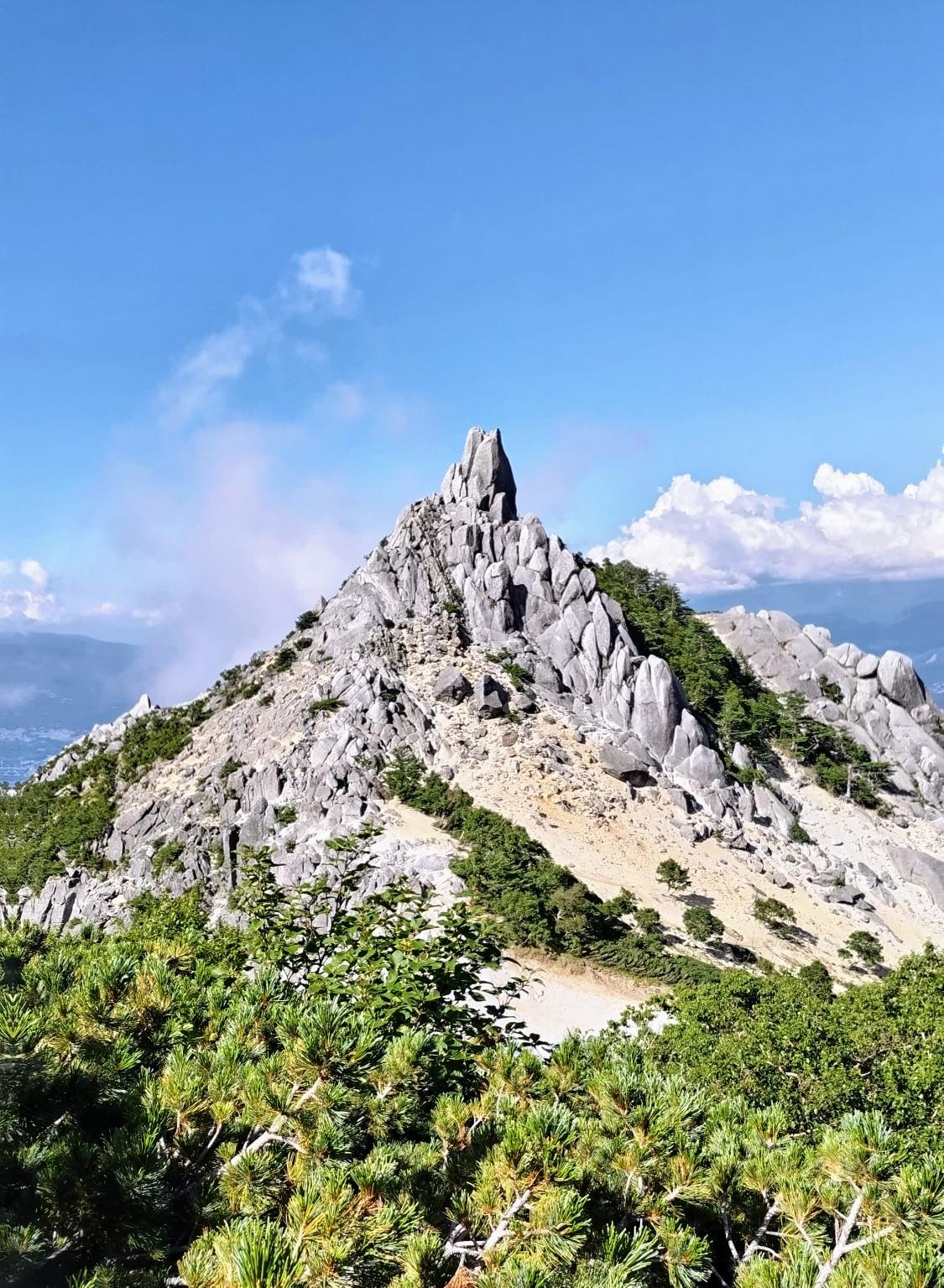 山 魚の化石三点 カード検索 ｜ Z/X - Zillions of enemy X