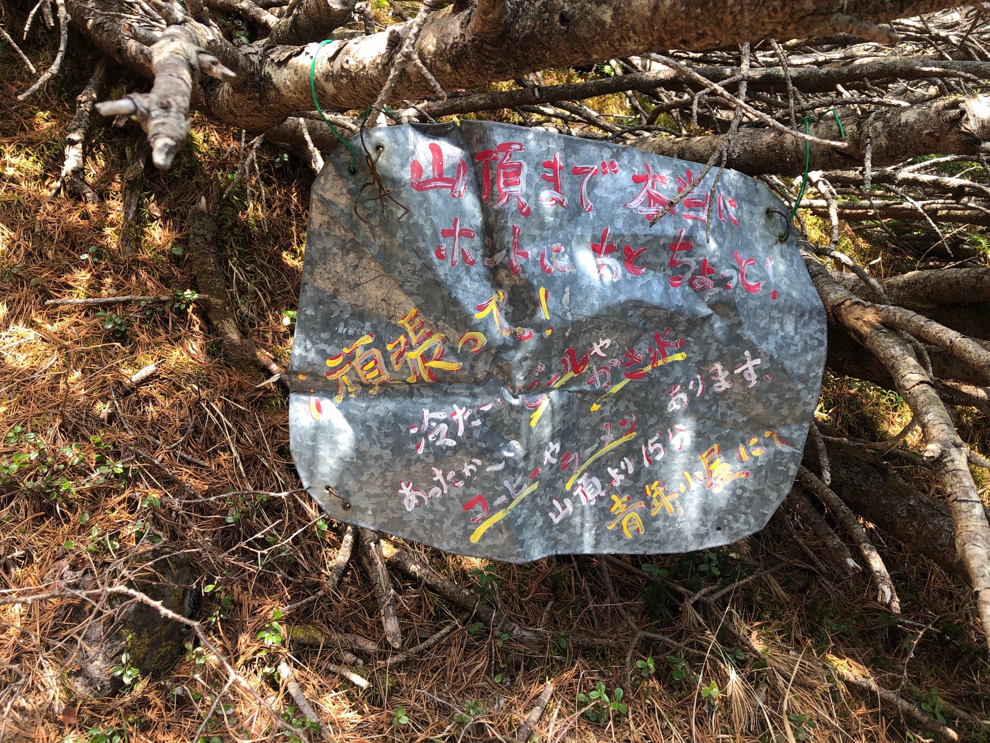 この、看板に折れた心が救われた！ 山頂まで、本当、本当、あとちょっと！ 頑張って！