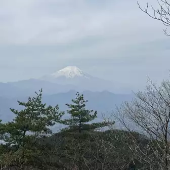 富士山🗻綺麗🤩