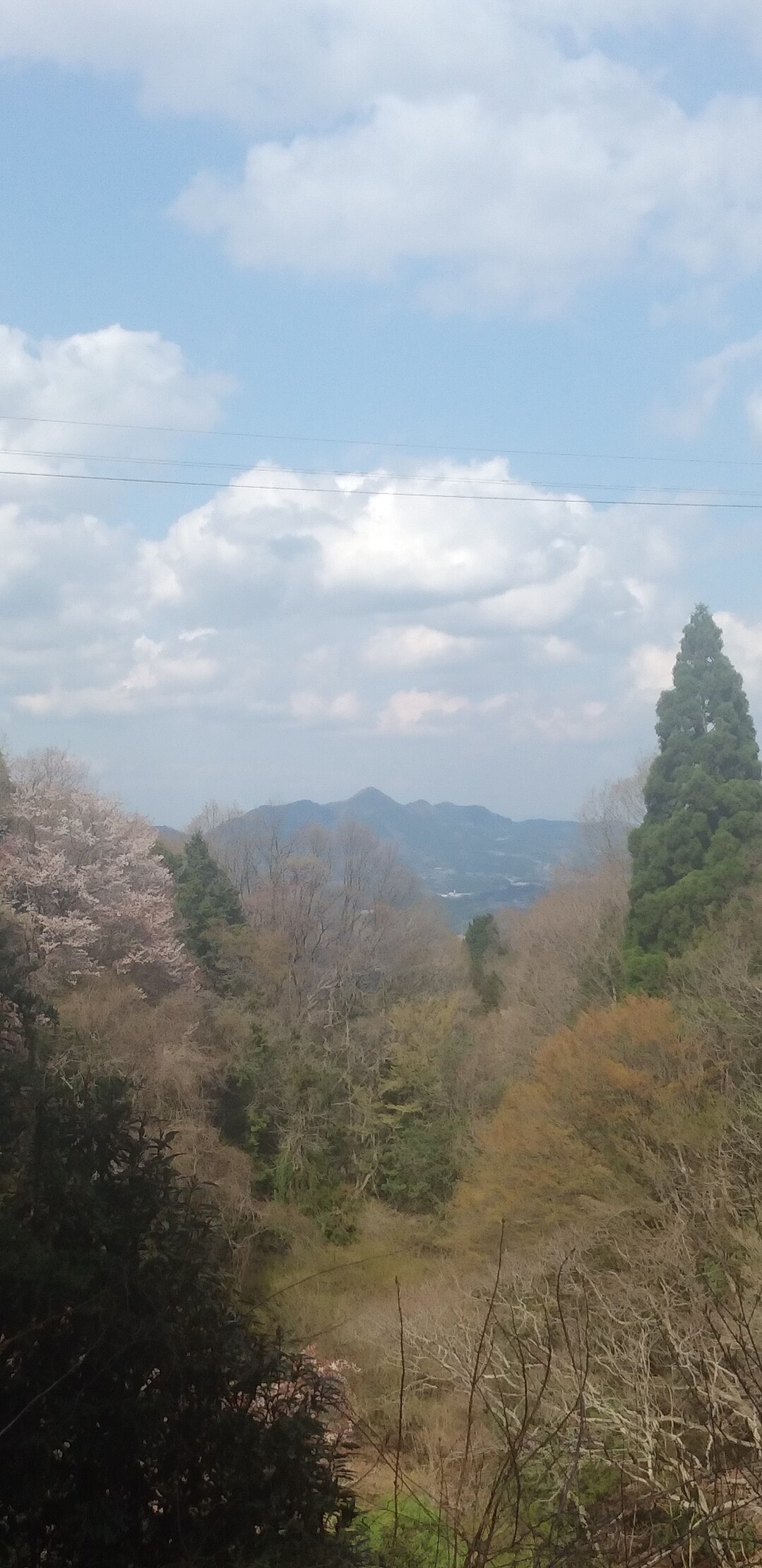 女寄峠から音羽山🗻 / kazu1961さんの音羽山・竜門岳（龍門岳）・熊ヶ岳の活動データ YAMAP / ヤマップ