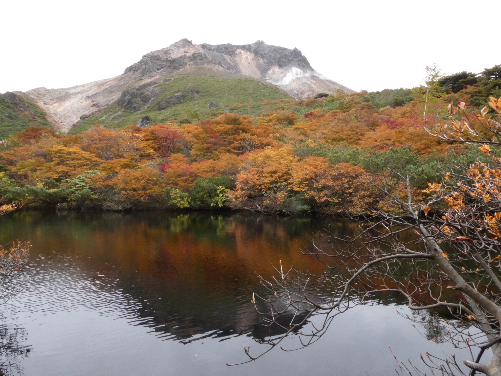 瓢箪沼 群馬県前橋 水辺遍路