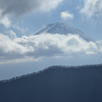 少しだけ出てきた👏
