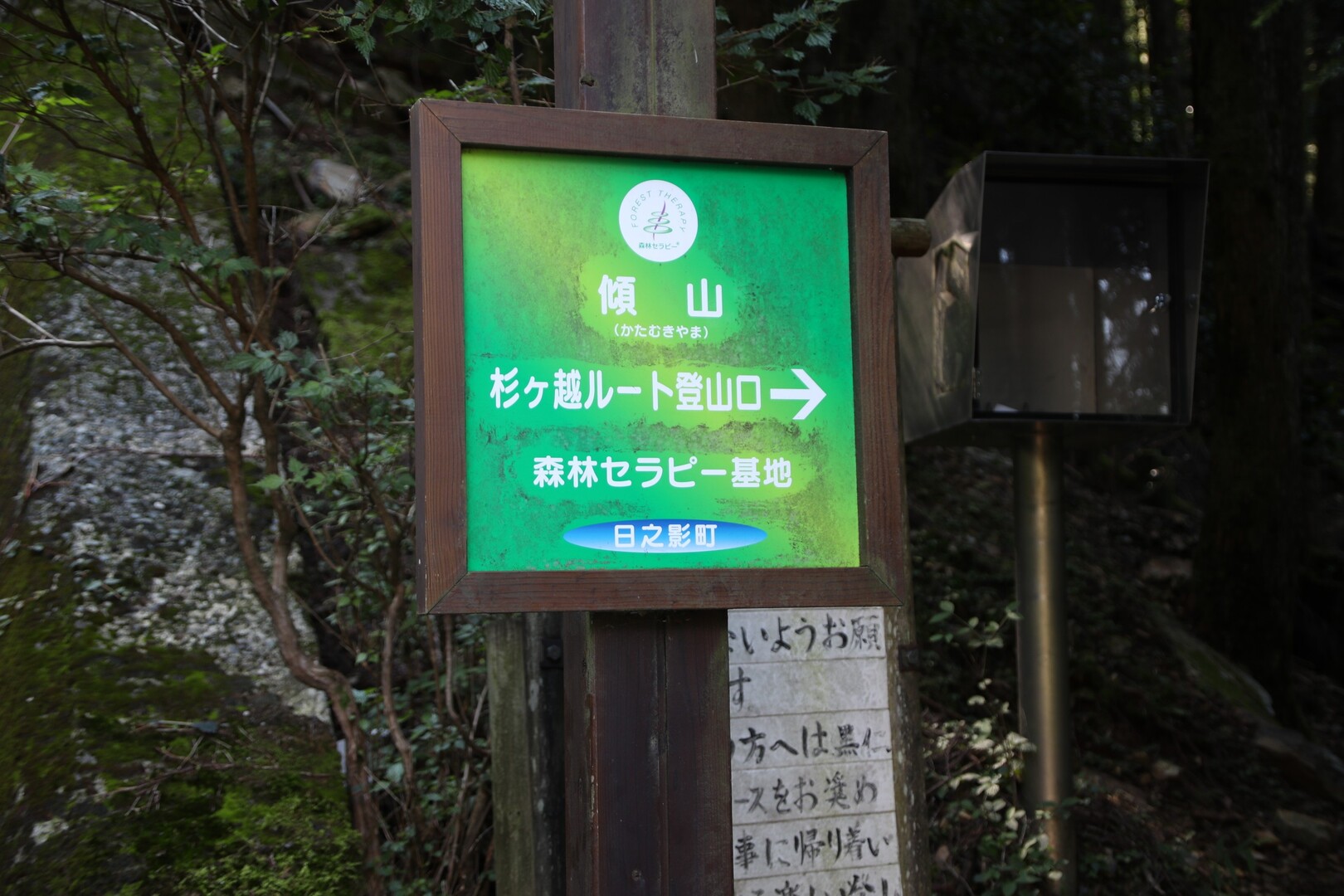 新百姓山 桧山 しんびゃくしょうやま ひのきやま Yamasenninさんの大崩山 五葉岳 新百姓山の活動日記 Yamap ヤマップ