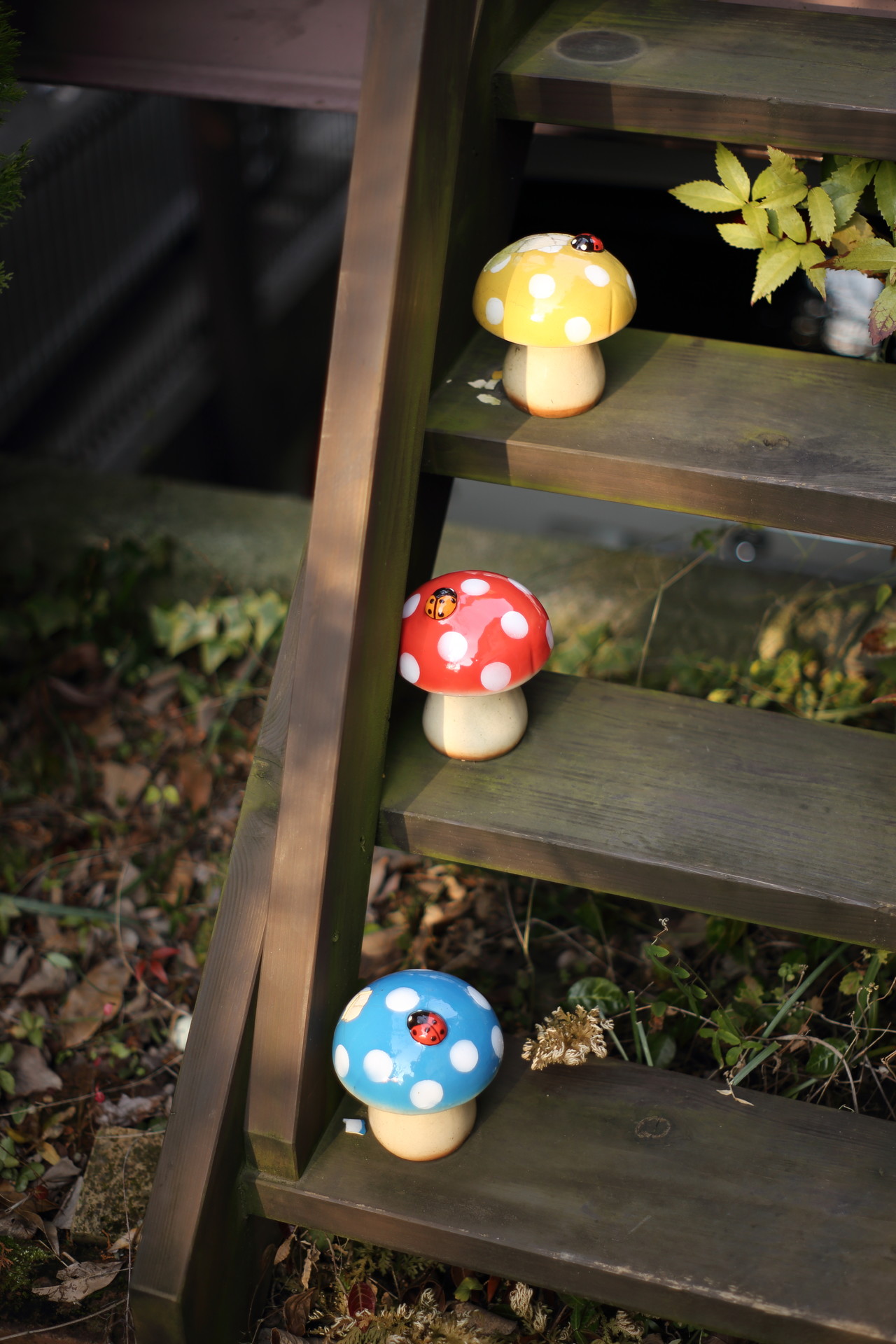 オールドレンズ泥沼 Karatetaroさんの能勢妙見山 歌垣山 天台山の活動日記 Yamap ヤマップ