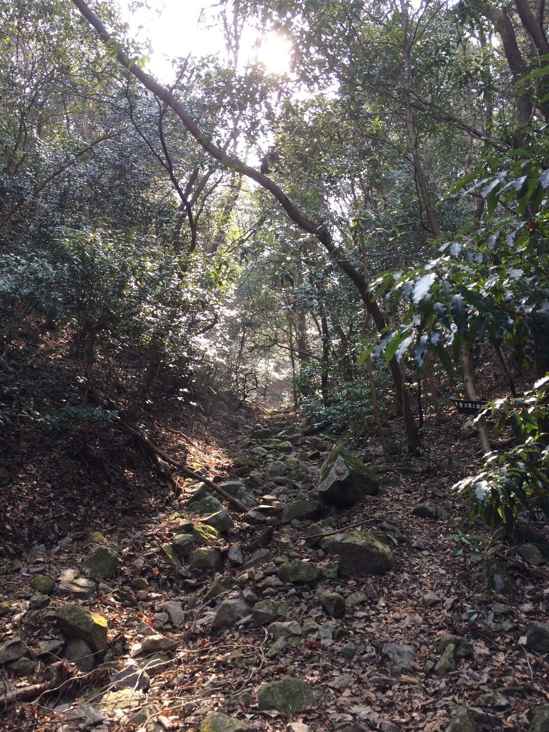 稚児ヶ墓山ー花折山ー金剛童子山 / まめさんの丹生山・帝釈山・シビレ山の活動データ YAMAP / ヤマップ