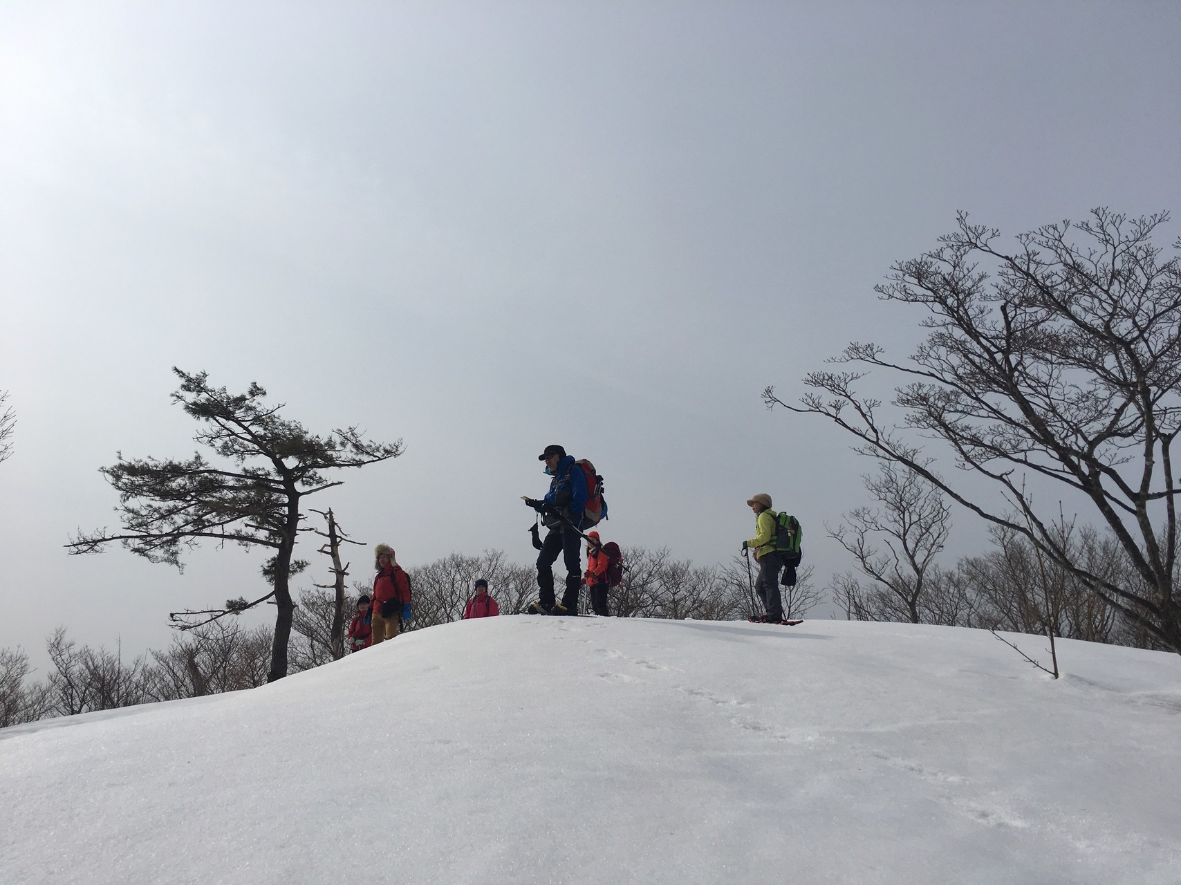 箱館山スキー場スノーシューハイク もりやんさんの高島トレイル その2の活動データ Yamap ヤマップ