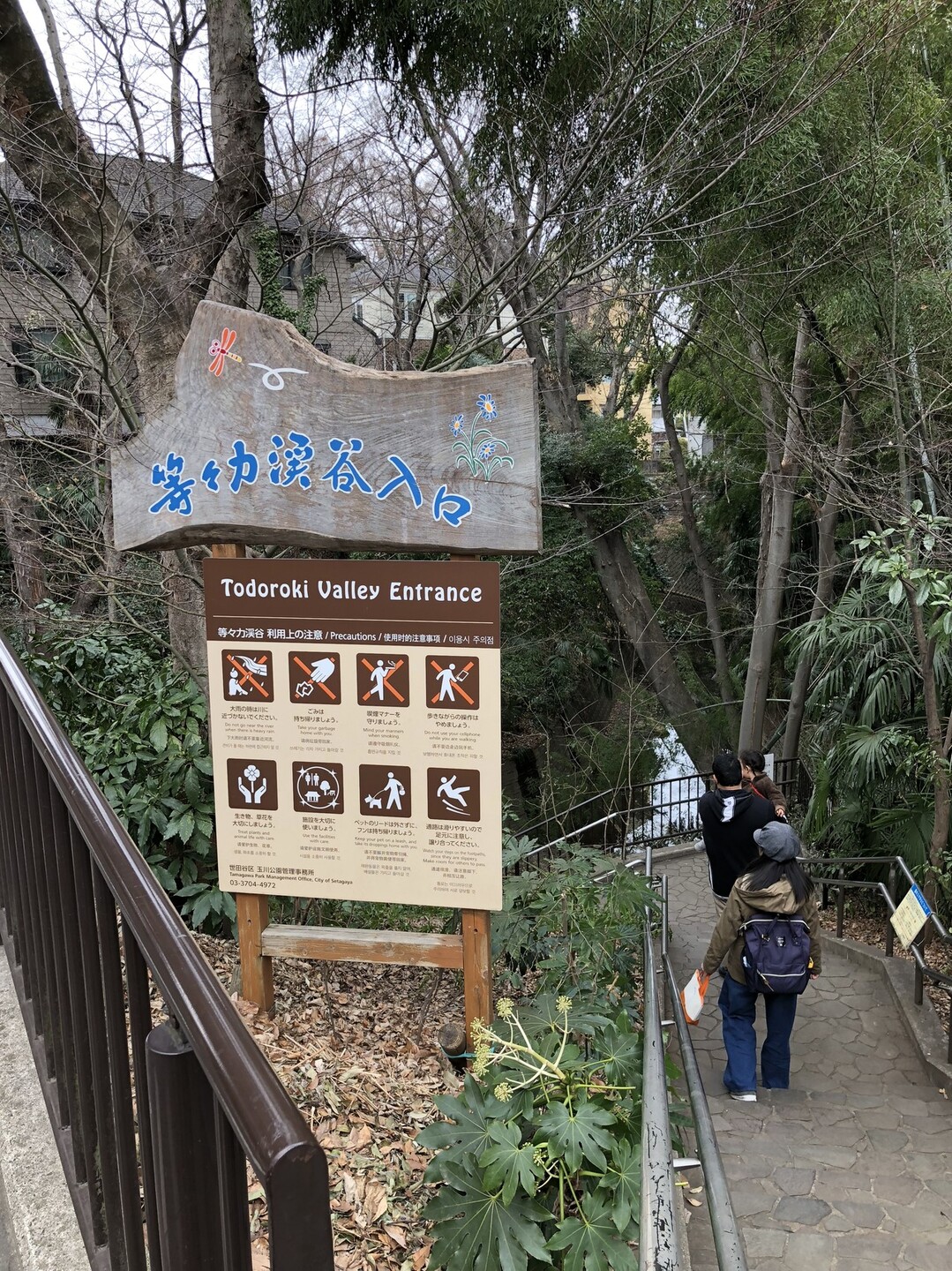 世田谷区 等々力渓谷 散歩 Showさんの東京都23区 西エリアの活動日記 Yamap ヤマップ