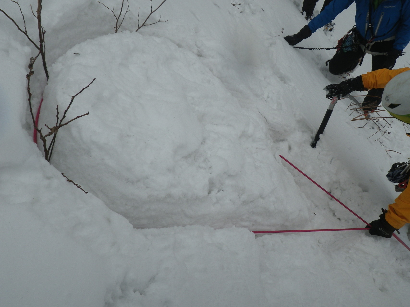 伯耆大山雪上トレ Guest さんの大山 甲ヶ山 野田ヶ山の活動日記 Yamap ヤマップ