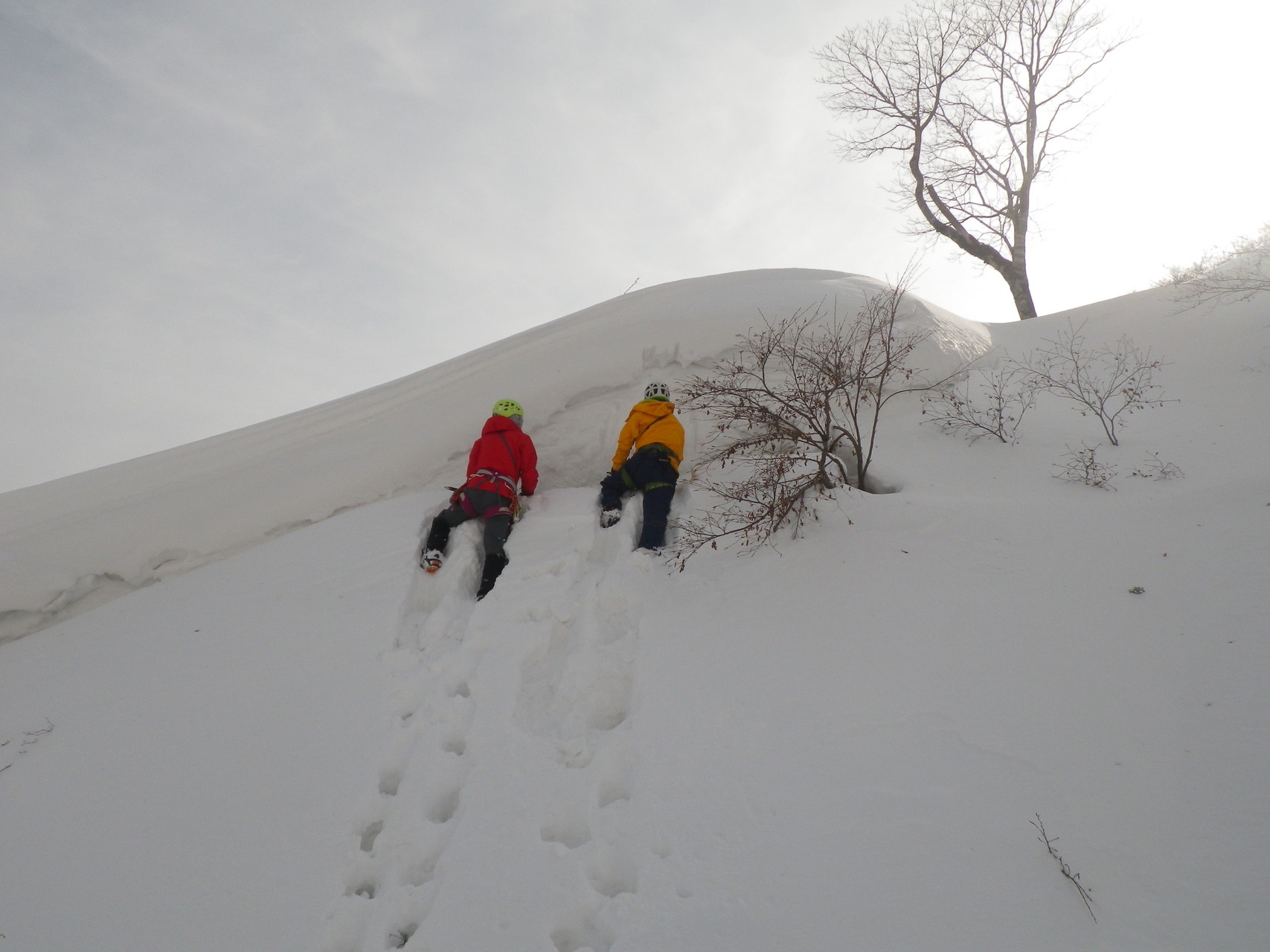 伯耆大山雪上トレ Guest さんの大山 甲ヶ山 野田ヶ山の活動日記 Yamap ヤマップ