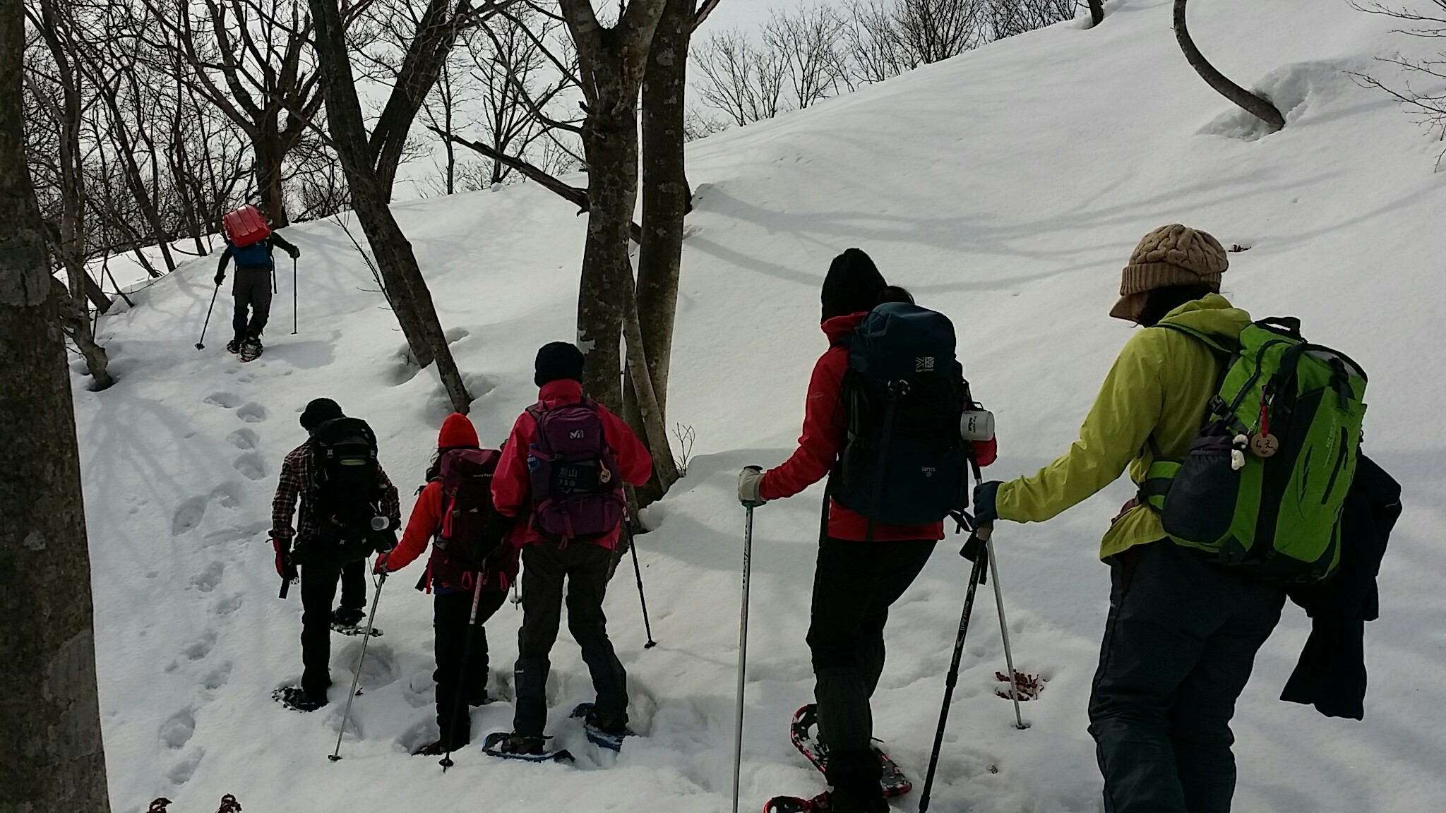 箱館山スノーシューハイク Matuさんの三国山 乗鞍岳 赤坂山の活動データ Yamap ヤマップ