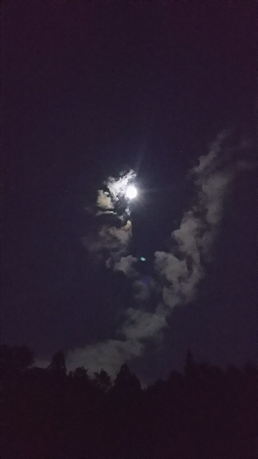 京都のお山でナイトハイクの練習 月が綺麗な夜だから ギムリさんの京都一周トレイルの活動データ Yamap ヤマップ