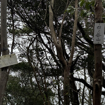 紀泉アルプス・飯盛山・ボンデン山 着いた！四ノ谷山⛰️
眺望は…無し