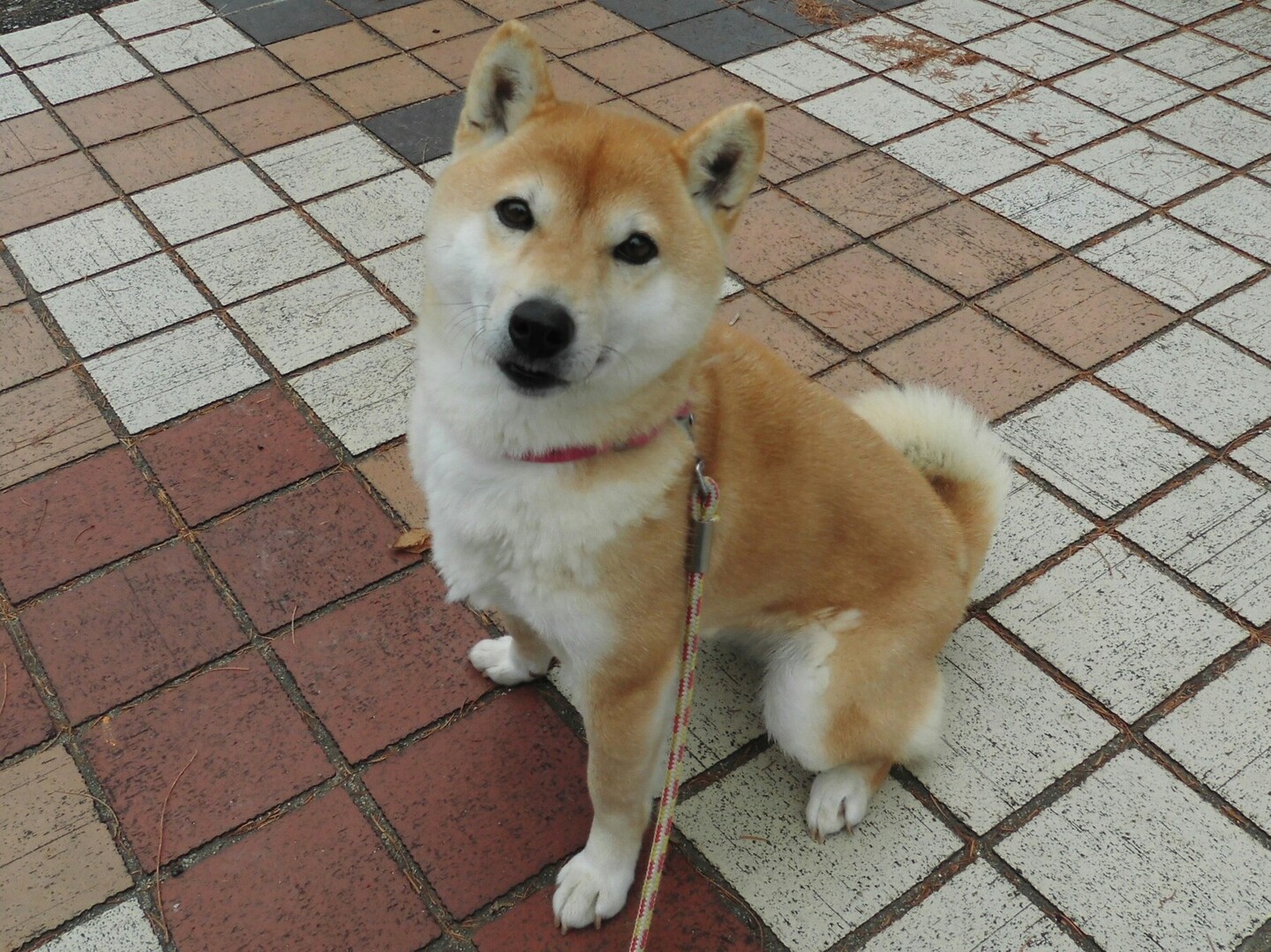 くうぱぱがフォローしているユーザー一覧 Yamap ヤマップ