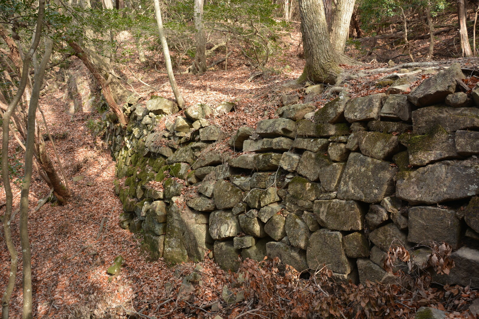 兵庫県たつの市の古代と中世の山城 城山城 きのやまじょう 跡縦走 しみけんさんの亀山 鶏籠山 的場山の活動日記 Yamap ヤマップ