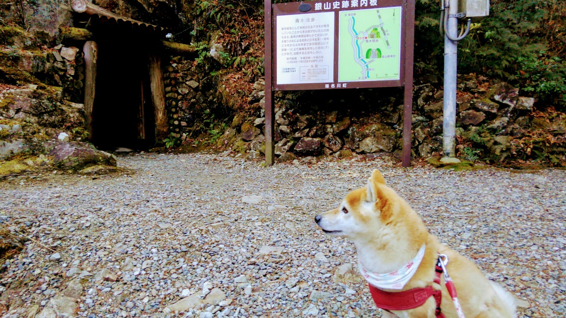 多田銅銀山へお散歩 くうぱぱさんの北摂里山トレイル 伊丹市 宝塚市 川西市 猪名川町エリア の活動日記 Yamap ヤマップ