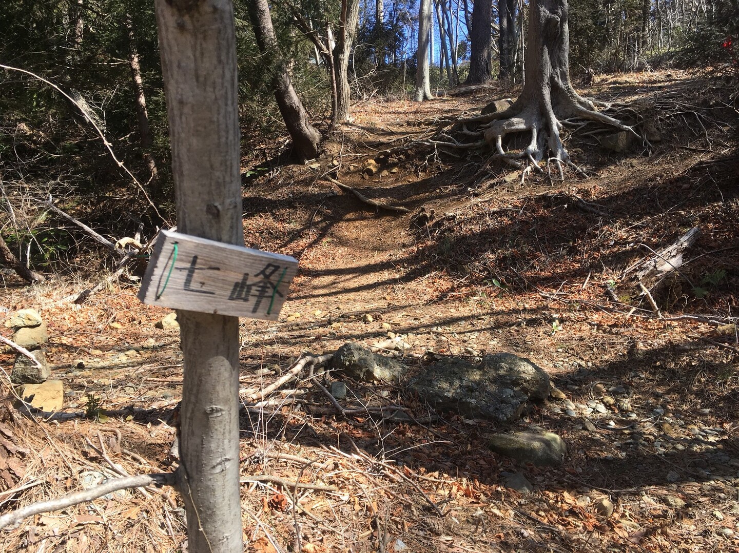 湯ノ岳 / いわき市の写真16枚目 / 再度、登山道に入る。 YAMAP / ヤマップ