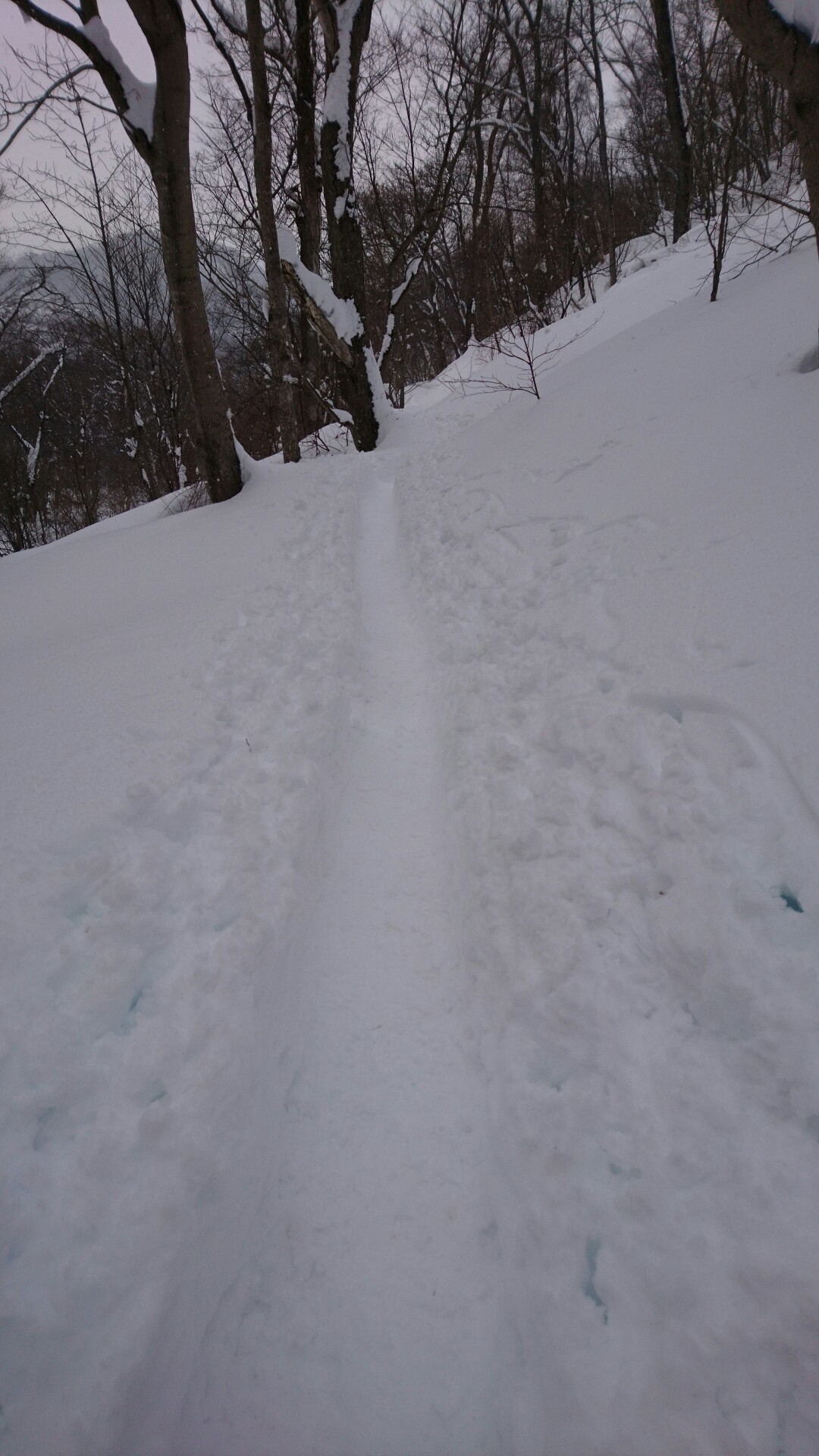 ３ アルェー ゆかちんさんの藻岩山の活動データ Yamap ヤマップ