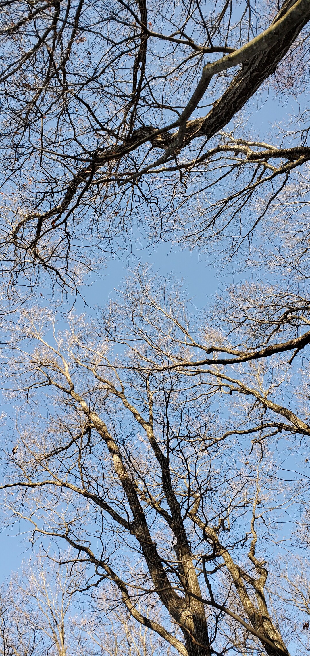 有明山 / ☆akip☆さんの千曲市の活動データ YAMAP / ヤマップ