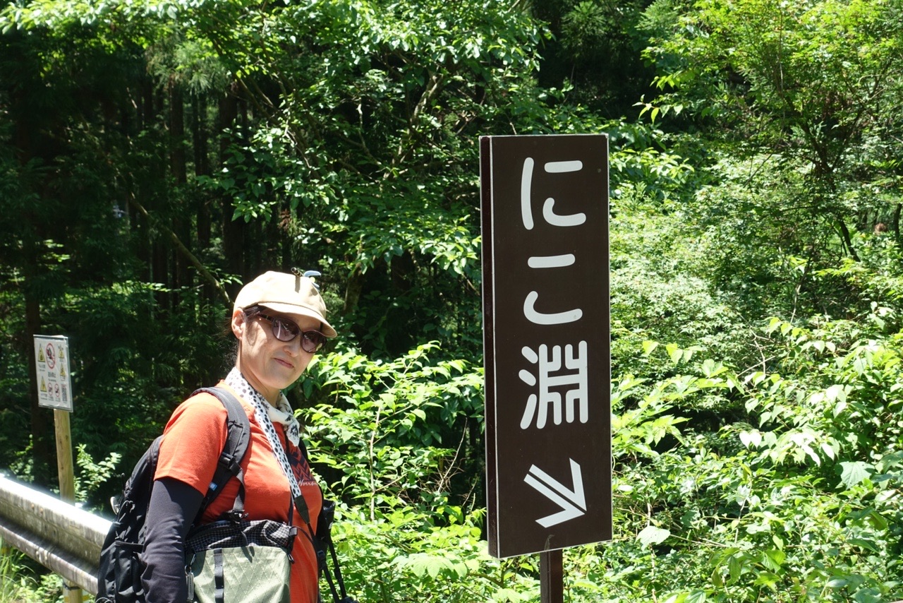 お花とにこ淵 ココハルさんの稲叢山の活動データ Yamap ヤマップ