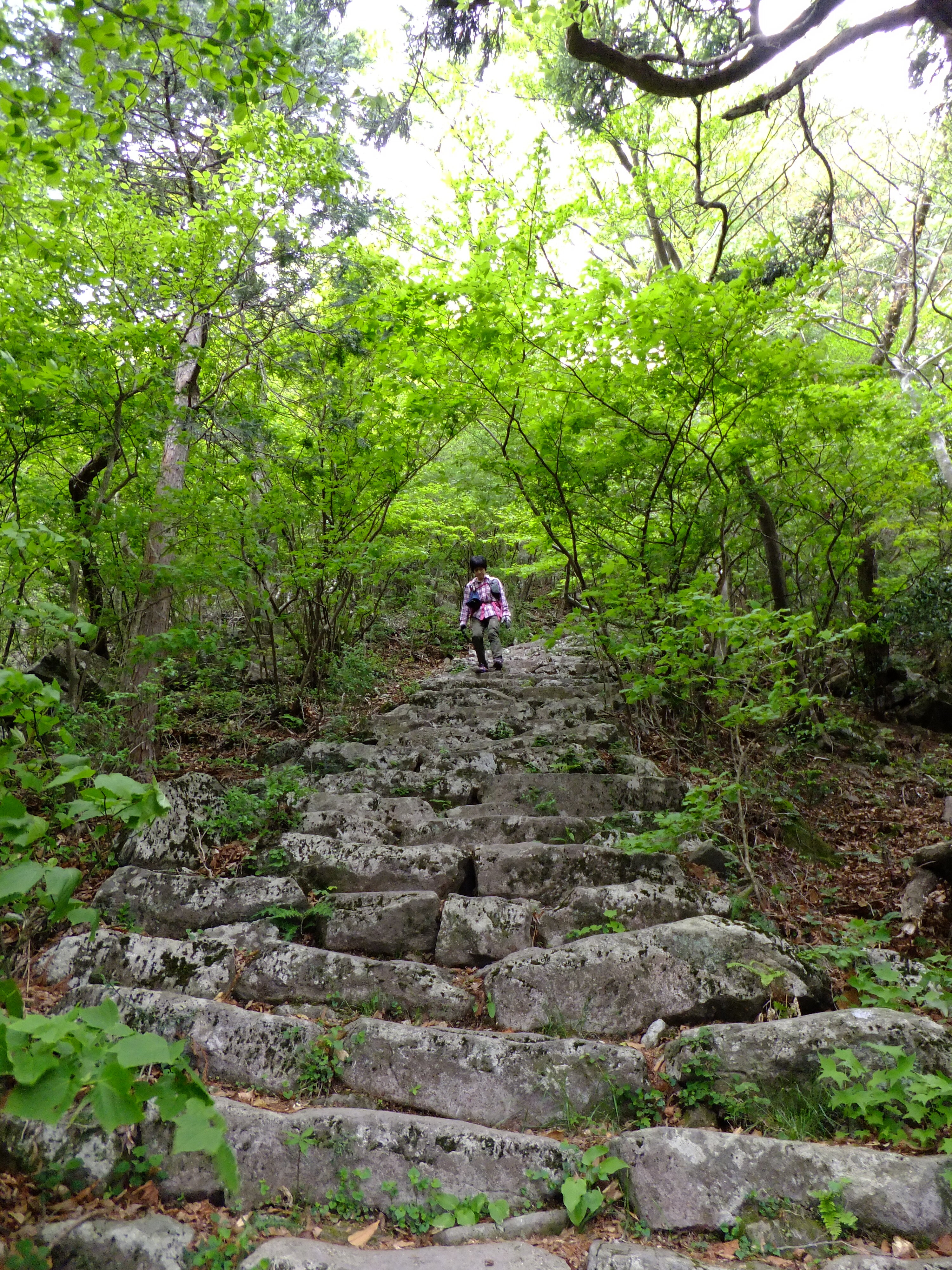 欲張り登山で タイムオーバー 経ヶ岳 舞岳 笹岳 北峰 笹岳 笹岳 南峰 国見岳 多良岳 西岳 りゅうちゃんさんの多良岳 経ヶ岳 五家原岳の活動データ Yamap ヤマップ