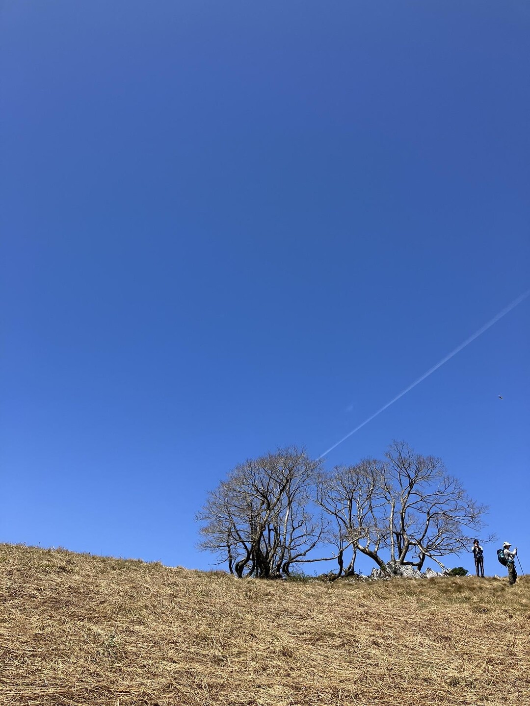 御池岳・鈴北岳・鈴ヶ岳