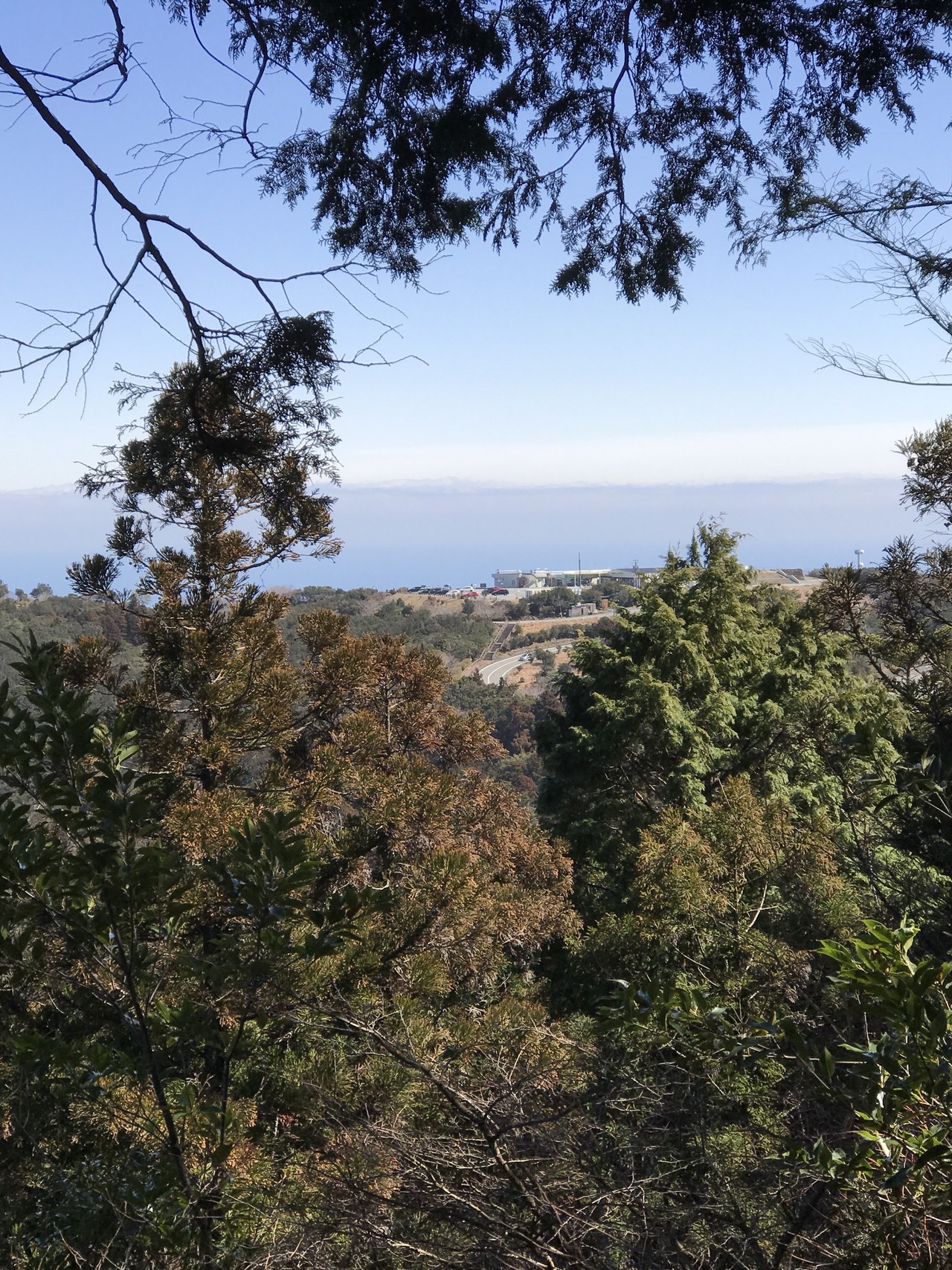 伊勢の朝熊山登山 竹ちゃんさんの朝熊山 朝熊ヶ岳 朝熊ガ岳 の活動データ Yamap ヤマップ