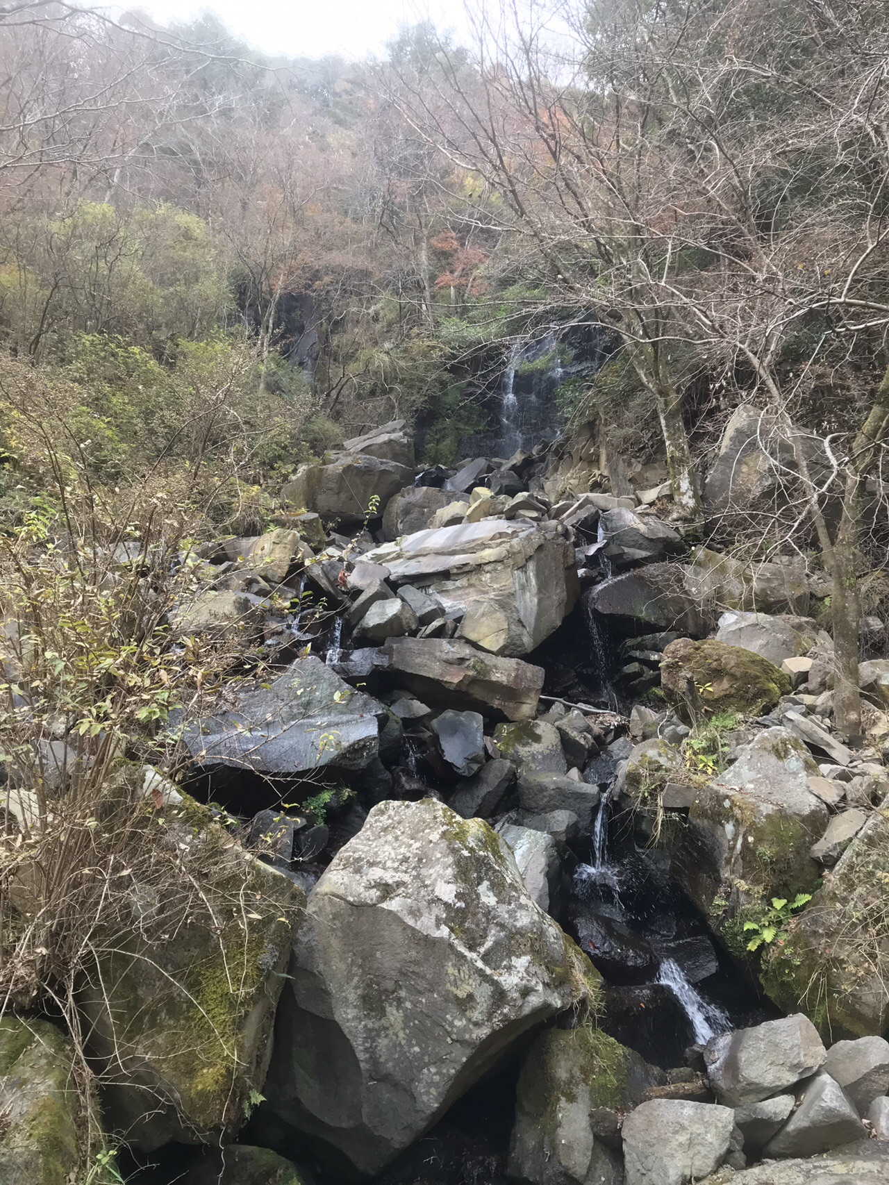 飛龍の滝 箱根 あっくんさんの箱根山 神山の活動データ Yamap ヤマップ