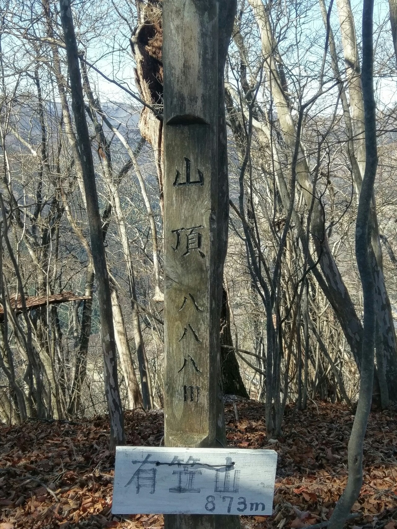 グンマーヤマバッカ共和国 群馬百名山 弥生時代の先住民族が住んでいたと言われる有笠山の巻き いっちゃんさんの嵩山 群馬県 の活動データ Yamap ヤマップ