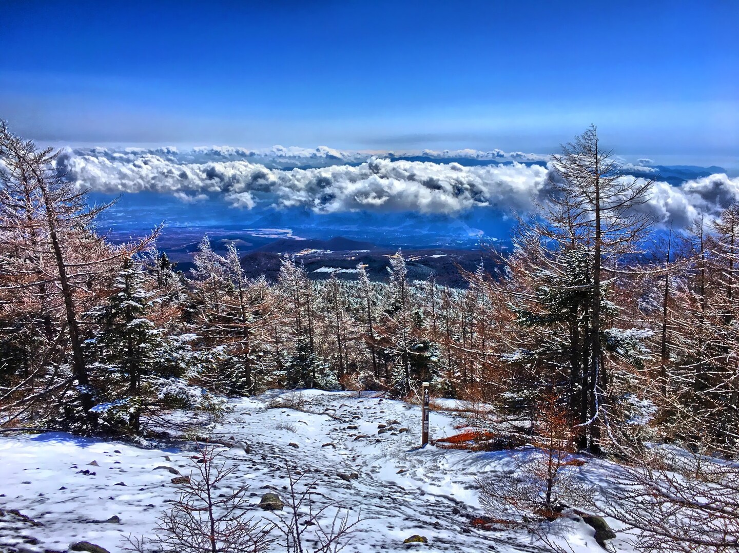 信じれば夢は叶う だと 俺はまだスタートラインにも立てちゃいないんだ Forever Yong編 富士山の写真37枚目 伊豆方面は 雲っすね Yamap ヤマップ