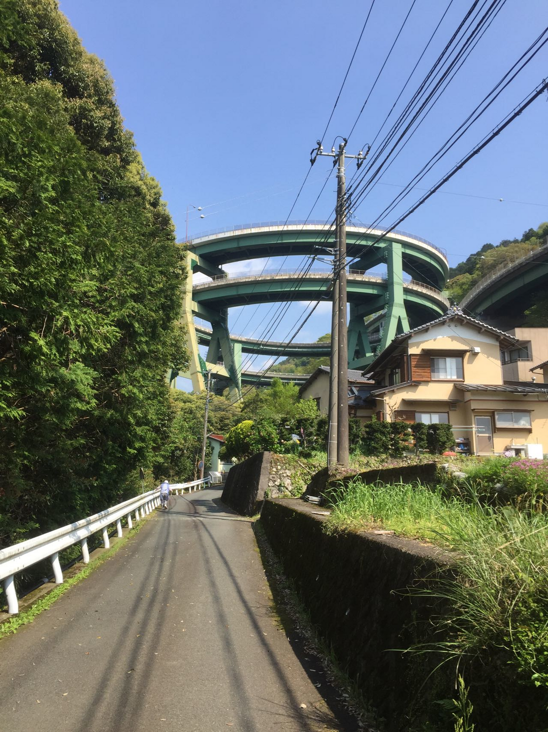 踊り子遊歩道へ行ってきました 静岡県河津町ー伊豆市 Y Inabaさんの天城山 鉢ノ山 三筋山の活動日記 Yamap ヤマップ