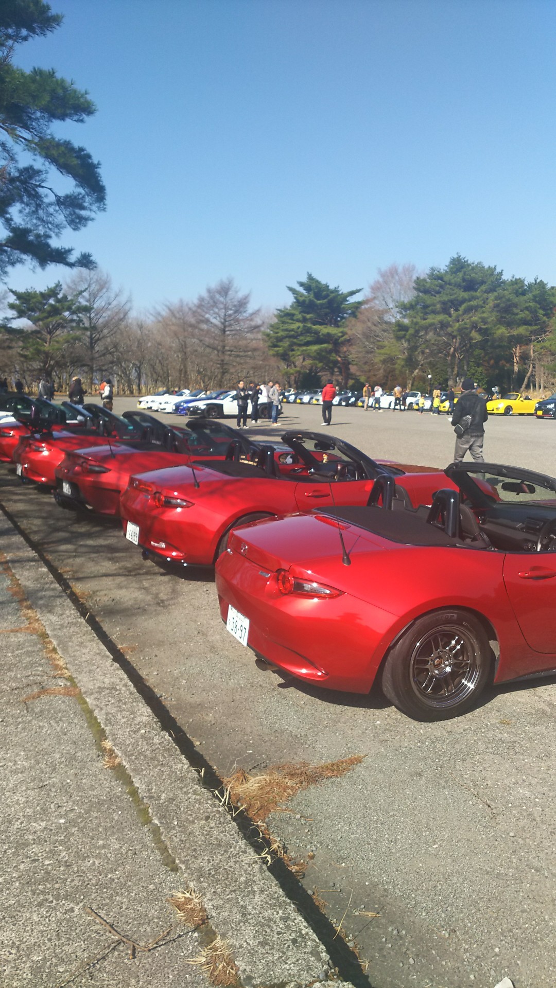 怪我で登れないので 登山口を確認しに山に Sayoさんの九重山 久住山 大船山 星生山の活動日記 Yamap ヤマップ