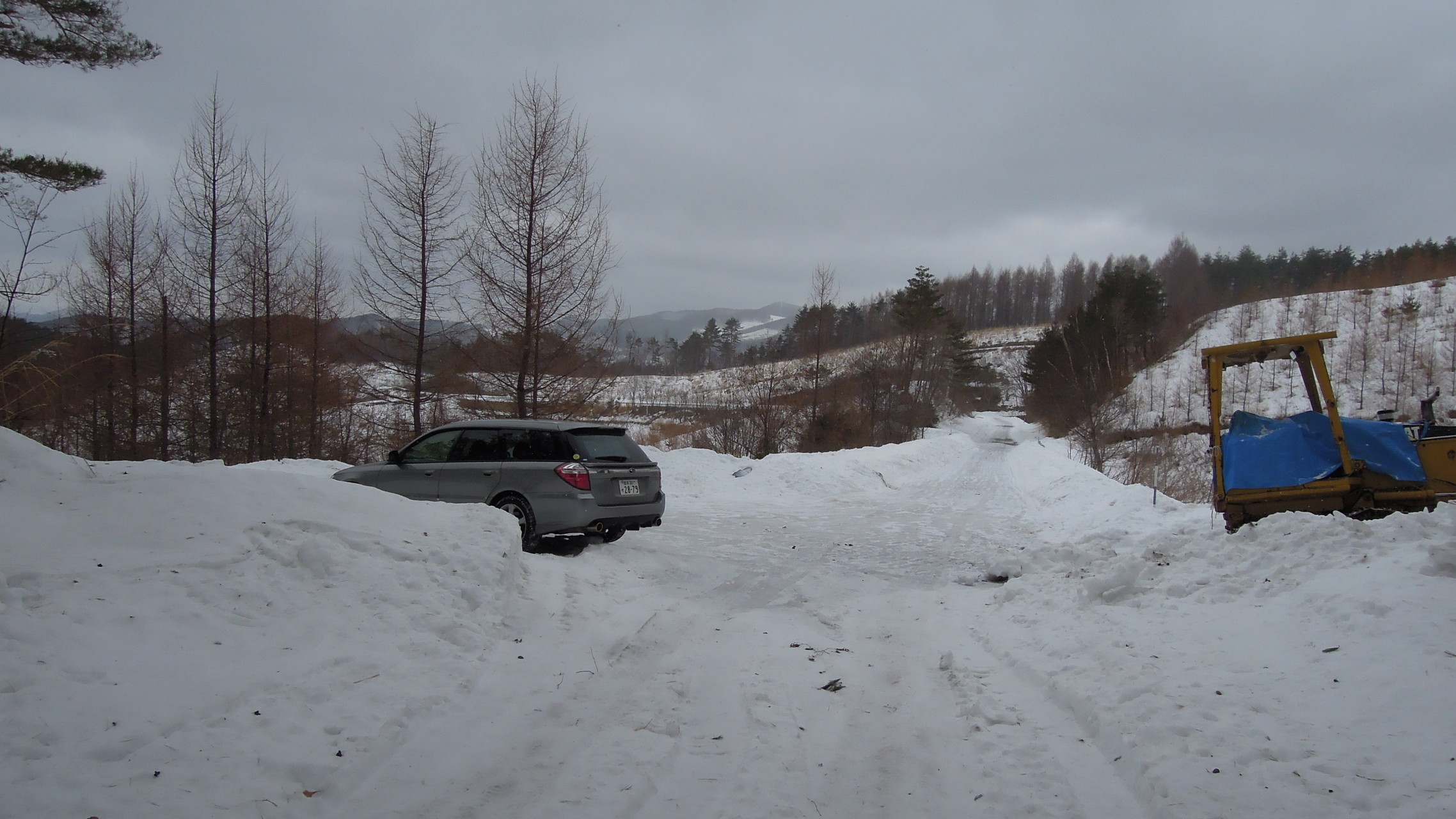 バースデー登山 遠別岳 安家森 Papachuさんの安家森の活動日記 Yamap ヤマップ