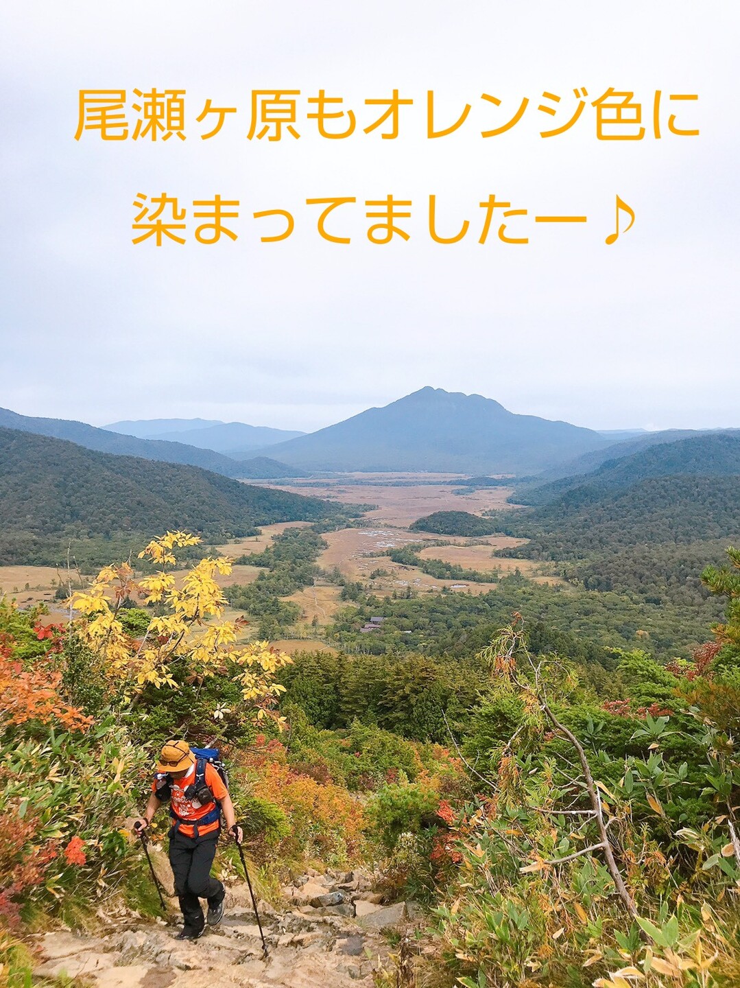 紅葉シーズン到来 至仏山 小至仏山 Takuさんの至仏山 悪沢岳 笠ヶ岳の活動データ Yamap ヤマップ