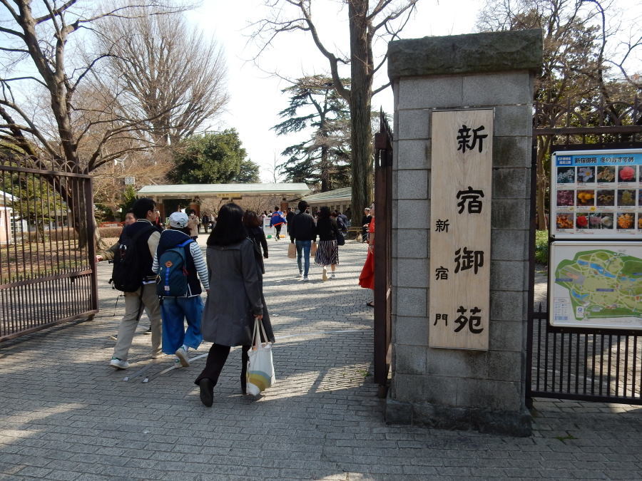 新宿御苑 ゴメサンさんの東京都23区 北エリアの活動日記 Yamap ヤマップ