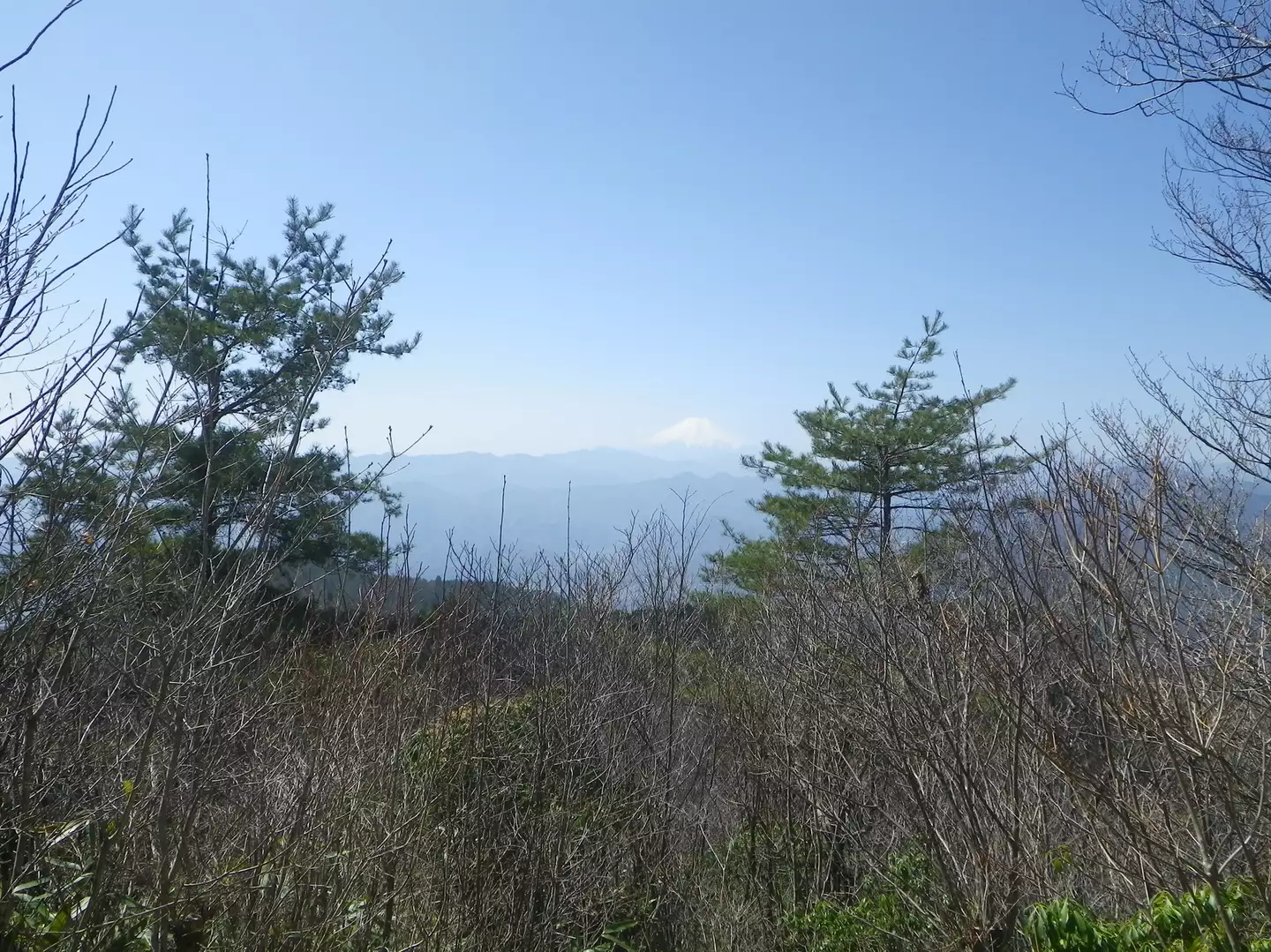 上野原からのプチ縦走 生藤山 方面 ザッキーさんの生藤山の活動データ Yamap ヤマップ